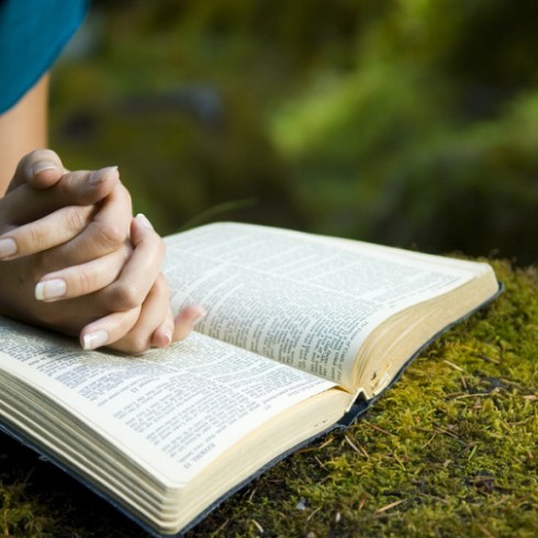 Young woman reading bible